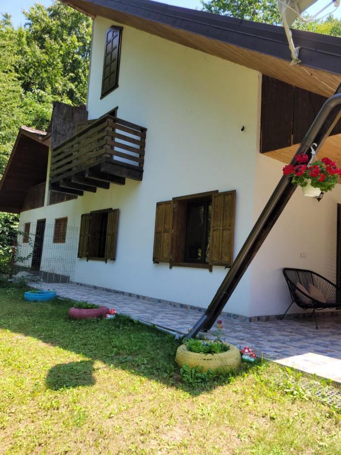 Villa Cabana Praid Exterior foto